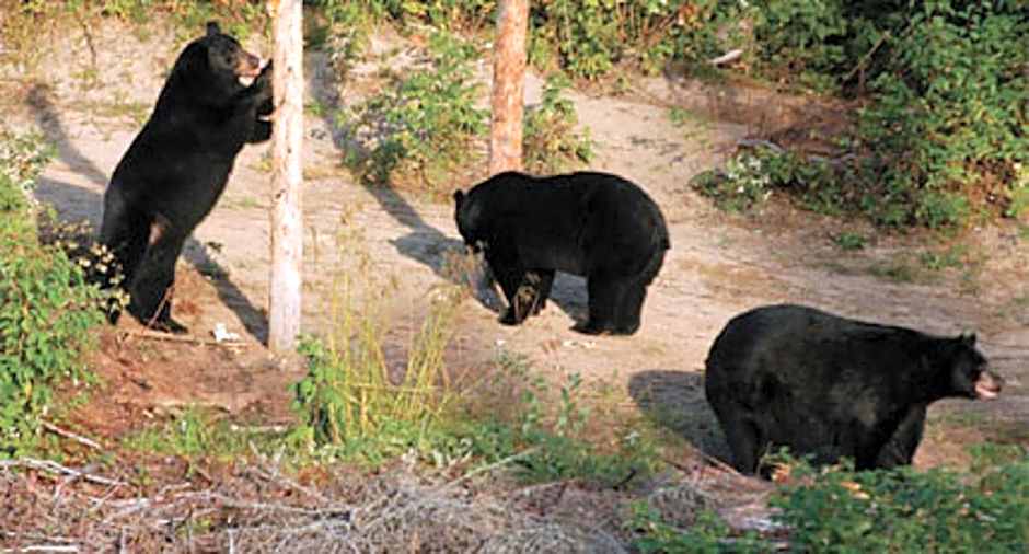 Hôtel Sous la Croix 152725