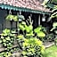 Happy House BnB Bromo backpacker