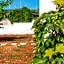 Hotel Magna Grecia