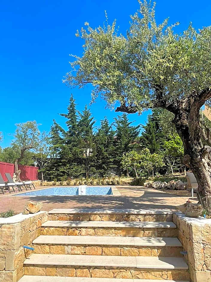 Nissi Collection Rooms