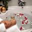Kilima Private Game Reserve & Spa