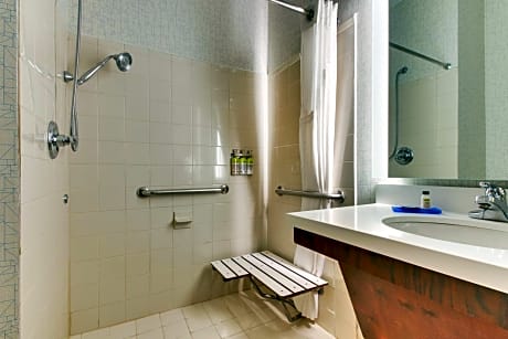 Suite - Mobility Access Roll in Shower/Non-Smoking