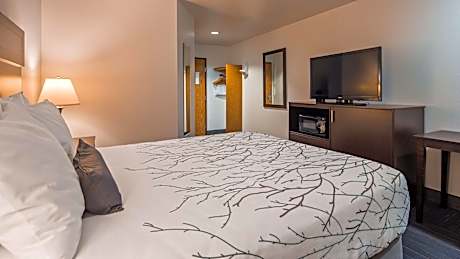 1 QUEEN BED,NSMK,PETFRD,MICRFG,FLATSC,HISPD,DESK,FULL BREAKFAST