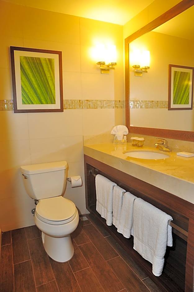 Hilton Garden Inn Panama City Downtown, Panama