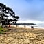 Carnmore Hotel Takapuna
