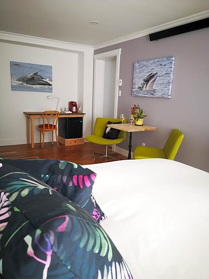 Au Cachalot Caché le gîte hôtel