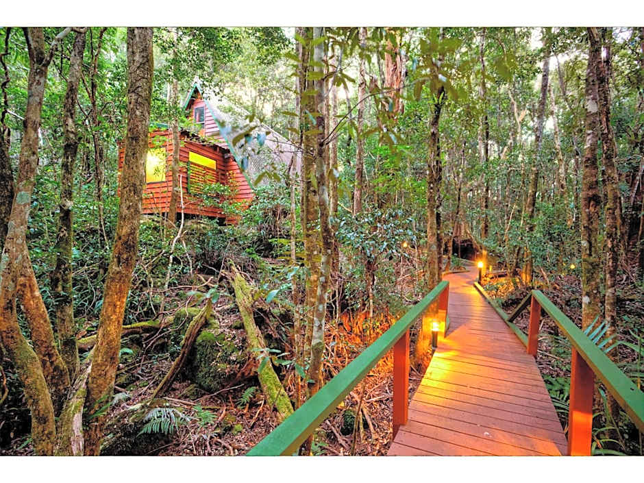 The Mouses House Rainforest Retreat