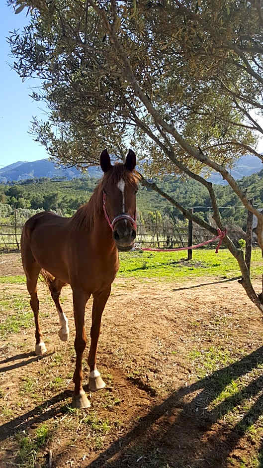 Ferma Jebala Ecolodge