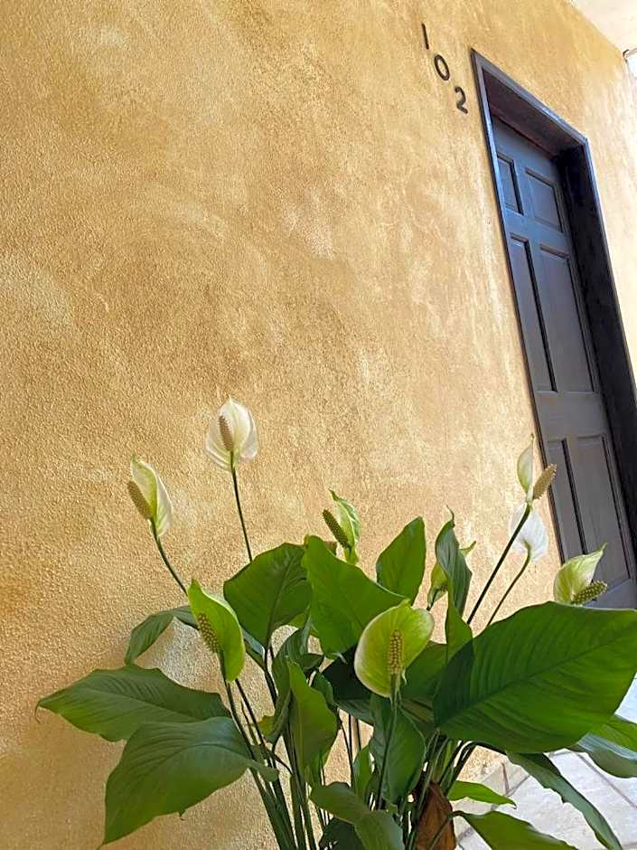 Hotel Camino Surreal Xilitla