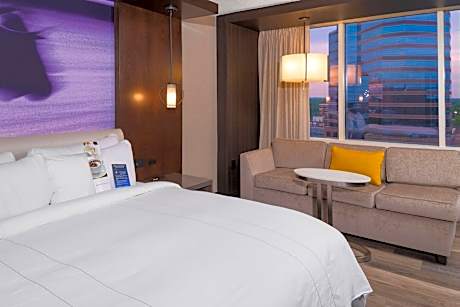 Room, 1 King Bed