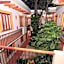 Hotel Casa Vertiz