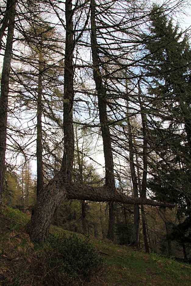 Locanda La Ruscoletta