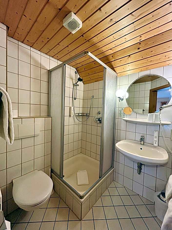 Hotel Hanauerhof