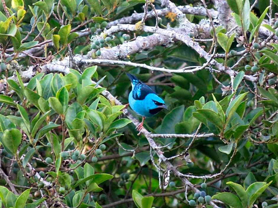 Pousada Biso Finoca Ibiraquera