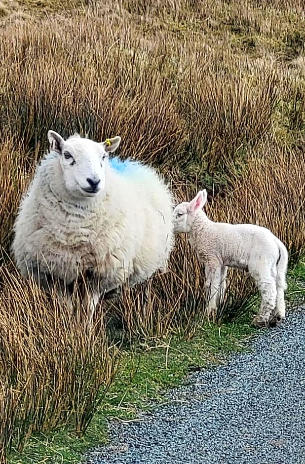 An Cnoc Bed & Breakfast