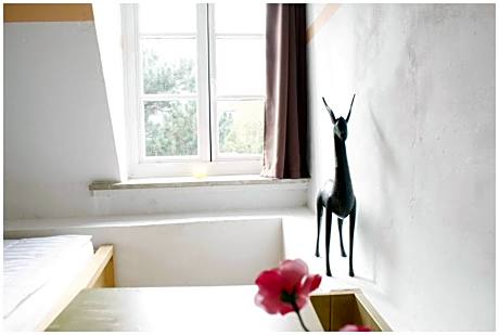 Single Room with Shared Bathroom