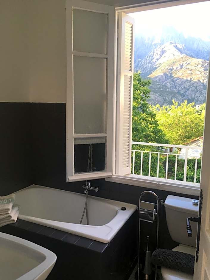 1er Consul SAS a Bussinca