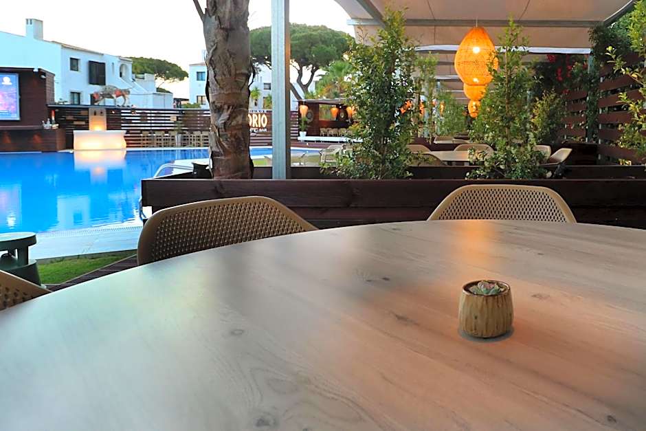 Apartamentos Honorio - Pool and Garden