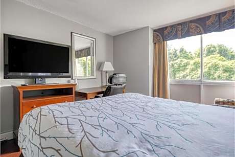 King Bed Accessible