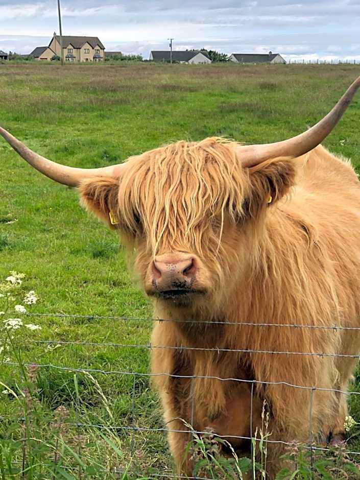 Sinclair Bay Apartments
