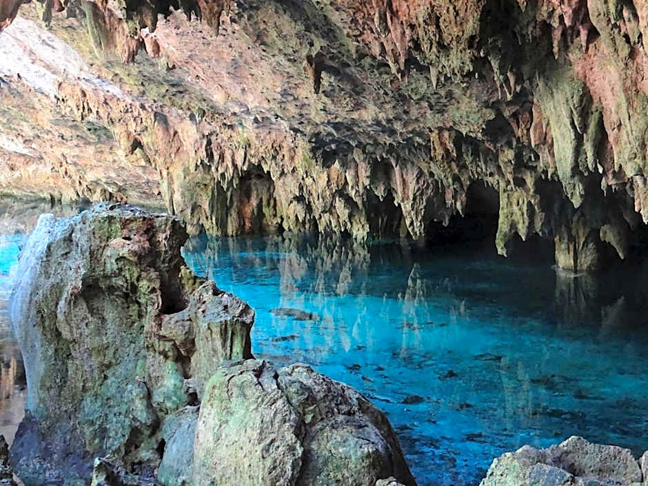 Selvaluna cabaña eco-chic