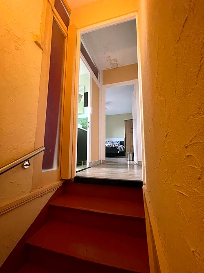 Grand studio et jolies chambres à louer