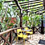 Cocos Cabañas Playa del Carmen Adults Only