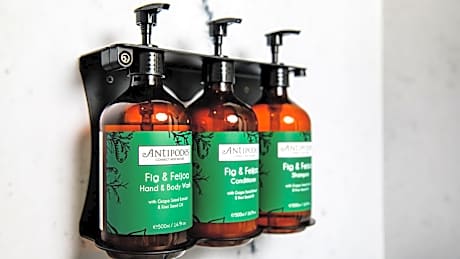 1 King Premium Sofa Bed