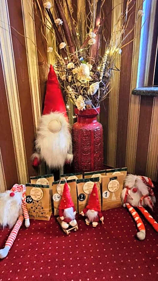 Pokoje ze śniadaniami Słoneczna Róża Szklarska Poręba