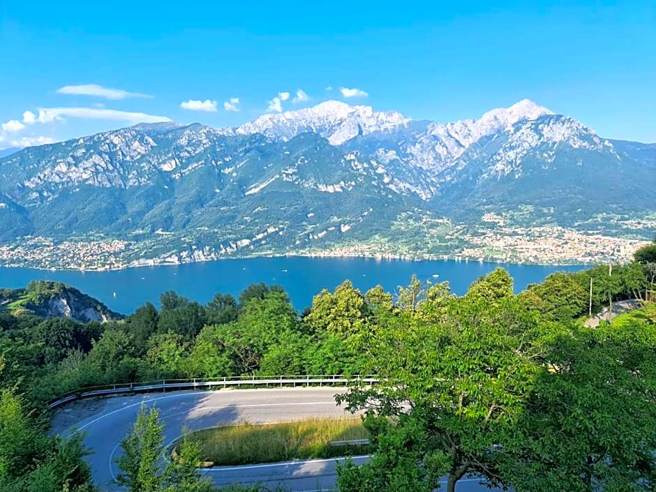 PET FRIENDLY HOTEL MIRABEAU