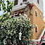 Kastro Studios Apartments