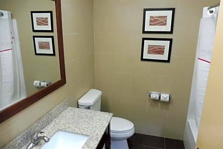 ADA Accessible Superior King with Roll-In Shower Non-Smoking