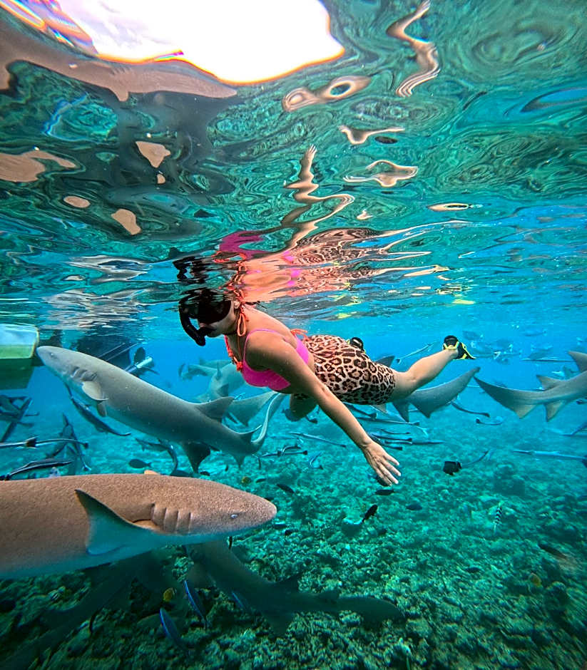 Pelican Beach Maafushi