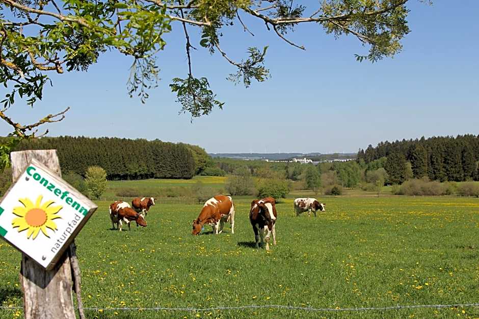 Hotel Wemperhardt