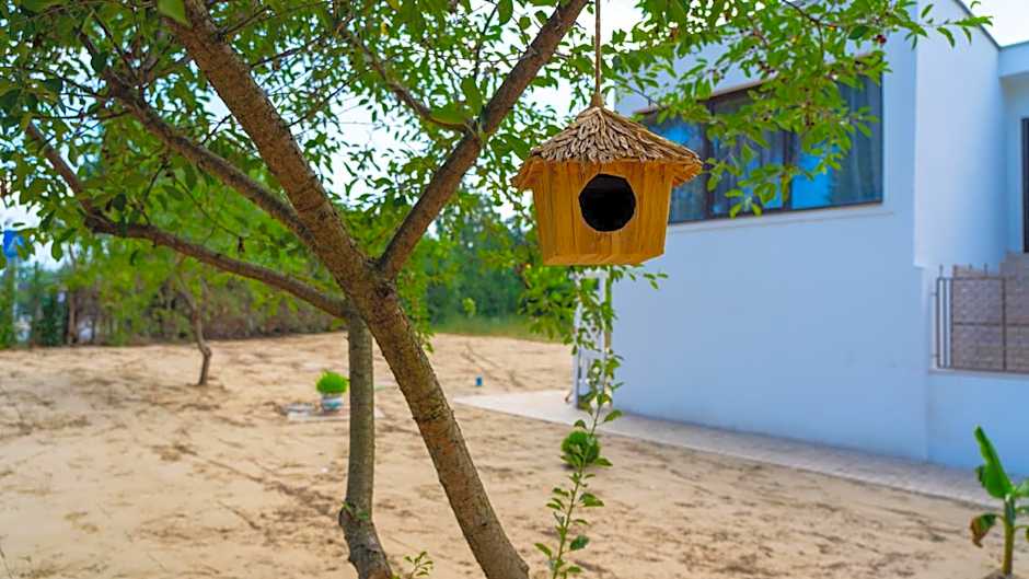 Avenue Venus - Avenue Hotels