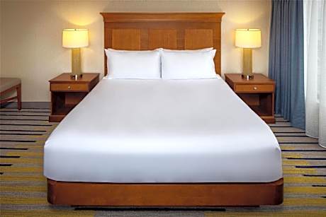 Deluxe King Room with Sofa Bed