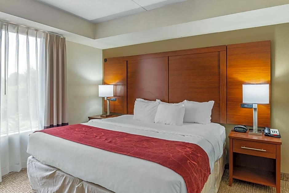 Comfort Suites At Virginia Center Commons