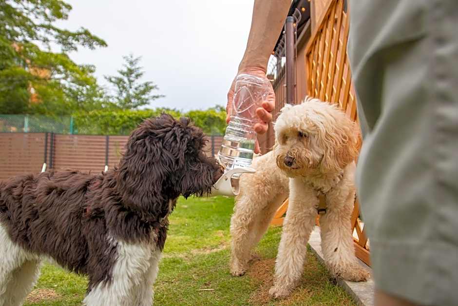 Gramercy Village 山中湖 Glamping &Sauna