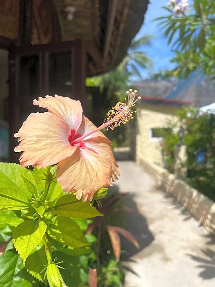 Victory Seaside Home