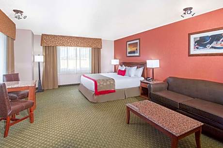 1 King Bed, Mobility Accessible Suite, Non-Smoking