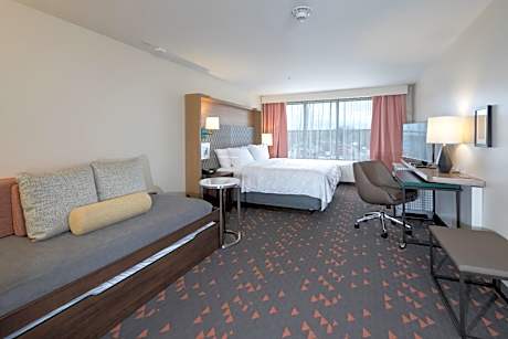 1 King 1 Bedroom Suite With Living Area