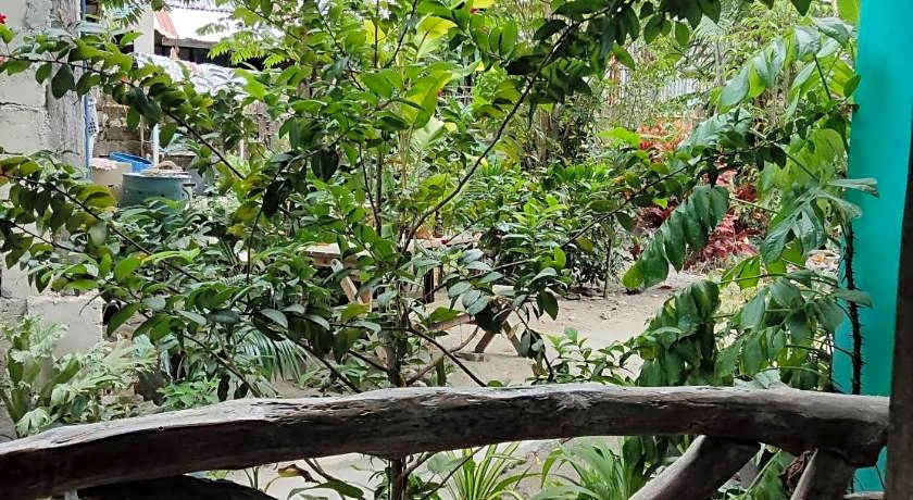 Shenamae Pension and Apartelle