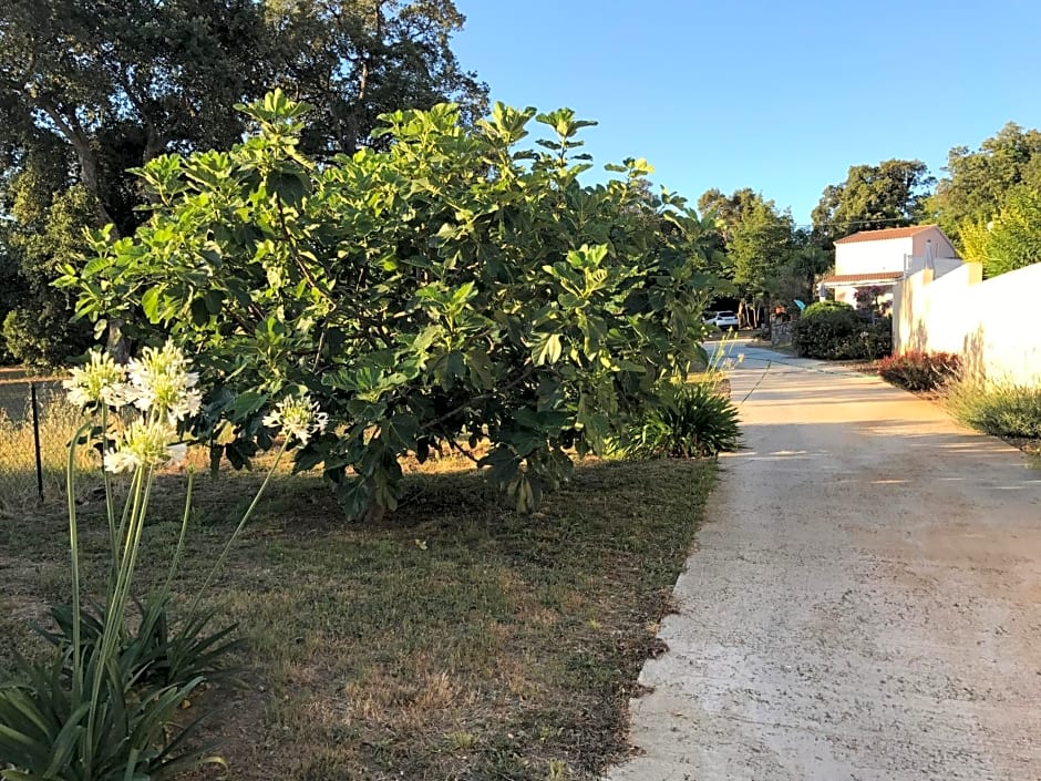 CHAMBRE HOTES CARPE DIEM