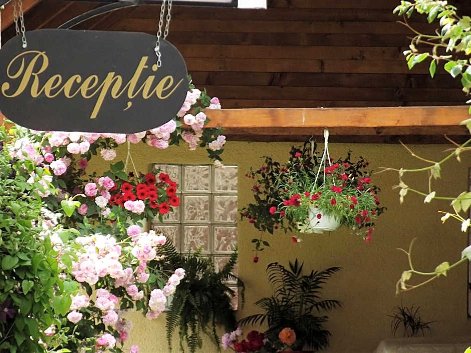 Vila Fortuna - Art O'Clock