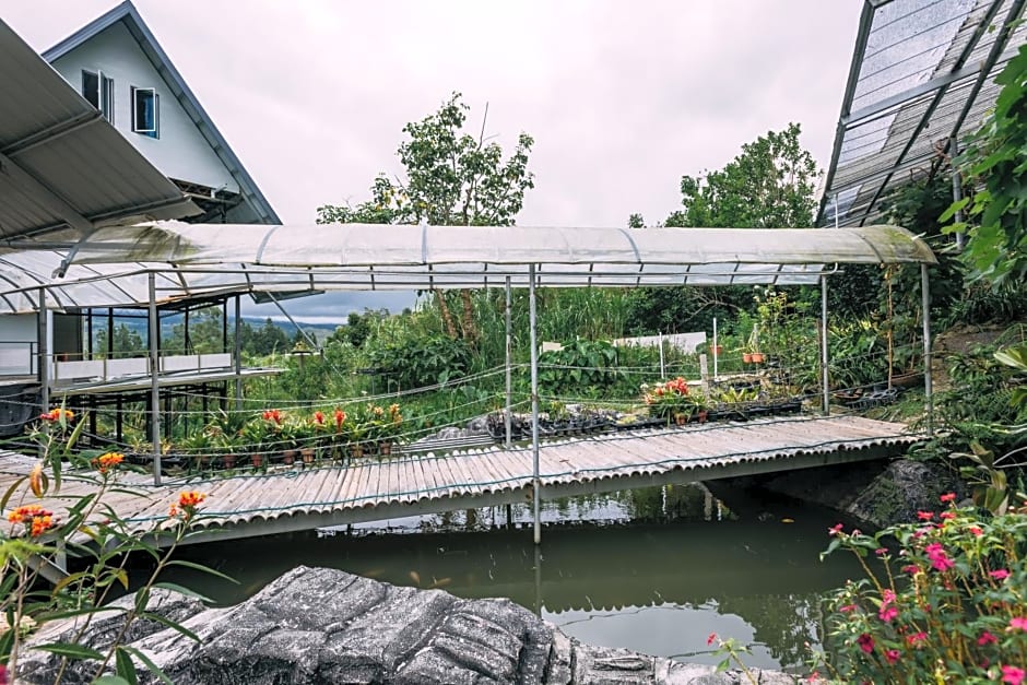 Amazing Grace Lodge