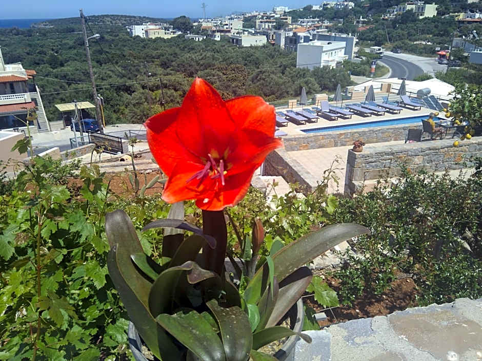 Kavousanos Apartments