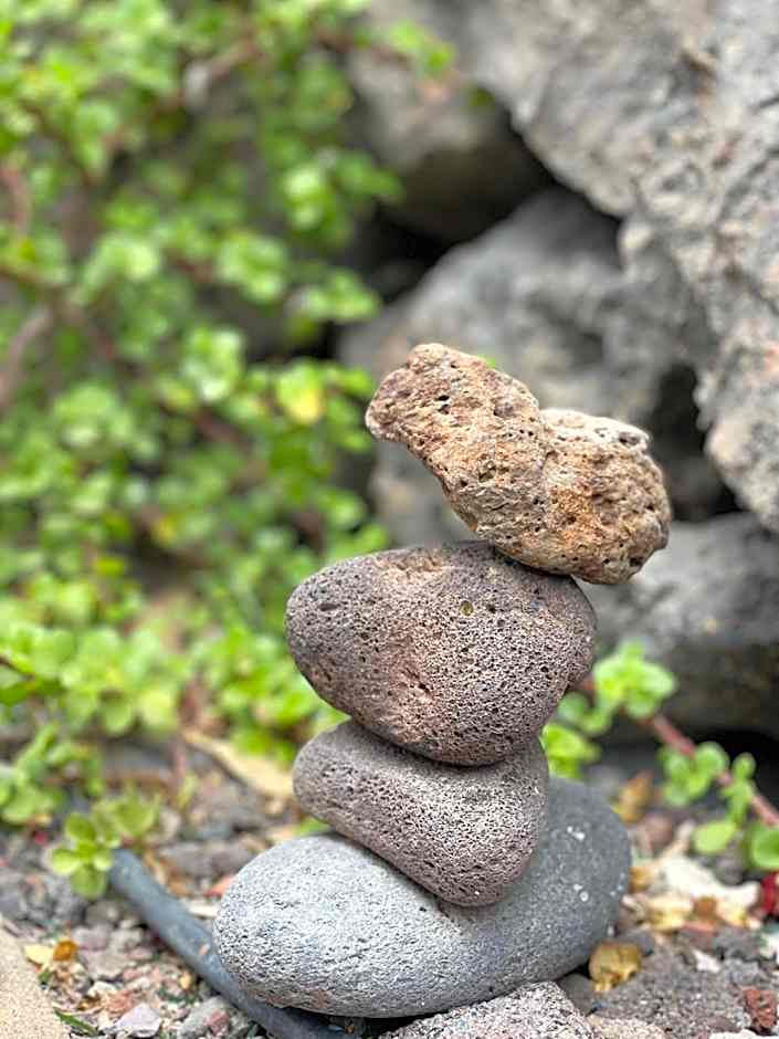 Apartamentos Los Tarajales