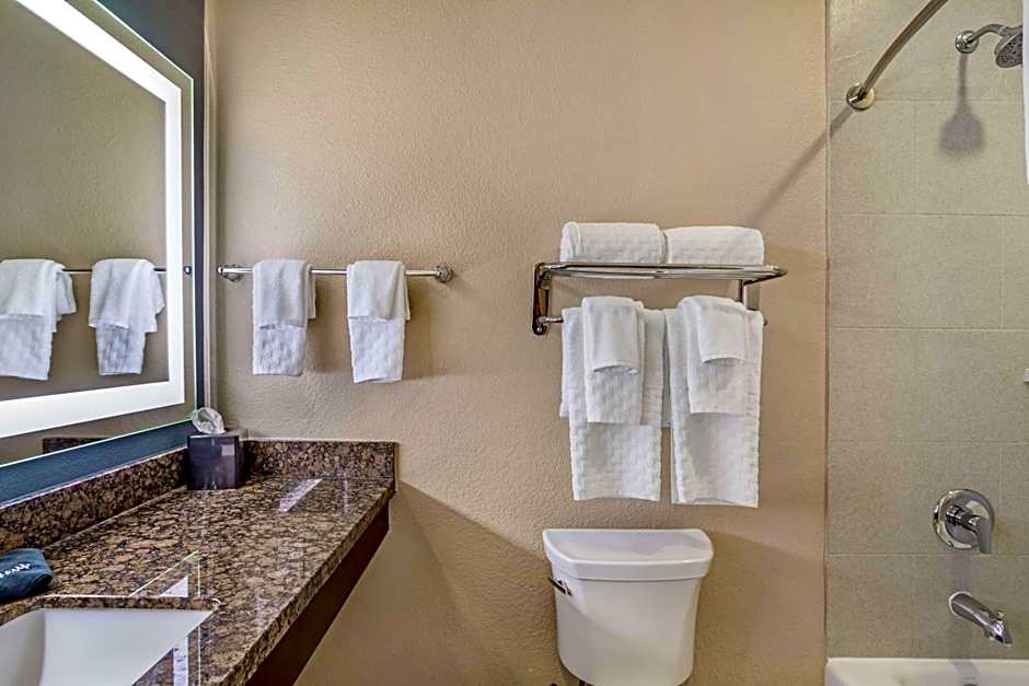 Best Western Plus Lake Jackson Inn & Suites