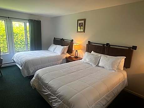 Deluxe Fireplace Efficiency Room