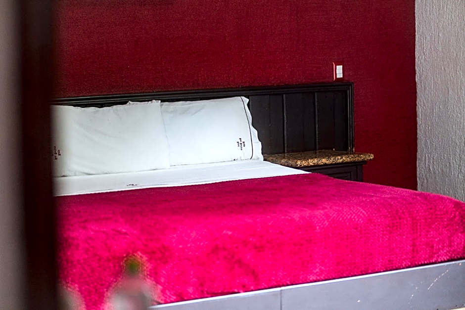 Hotel Don Quijote Plaza - Guadalajara Centro Historico